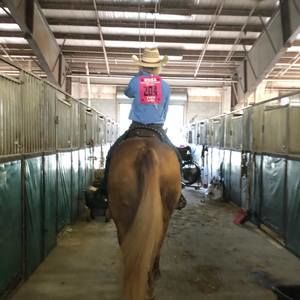 Meet your Posher, Clara